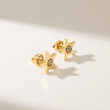 Signature Star Studs