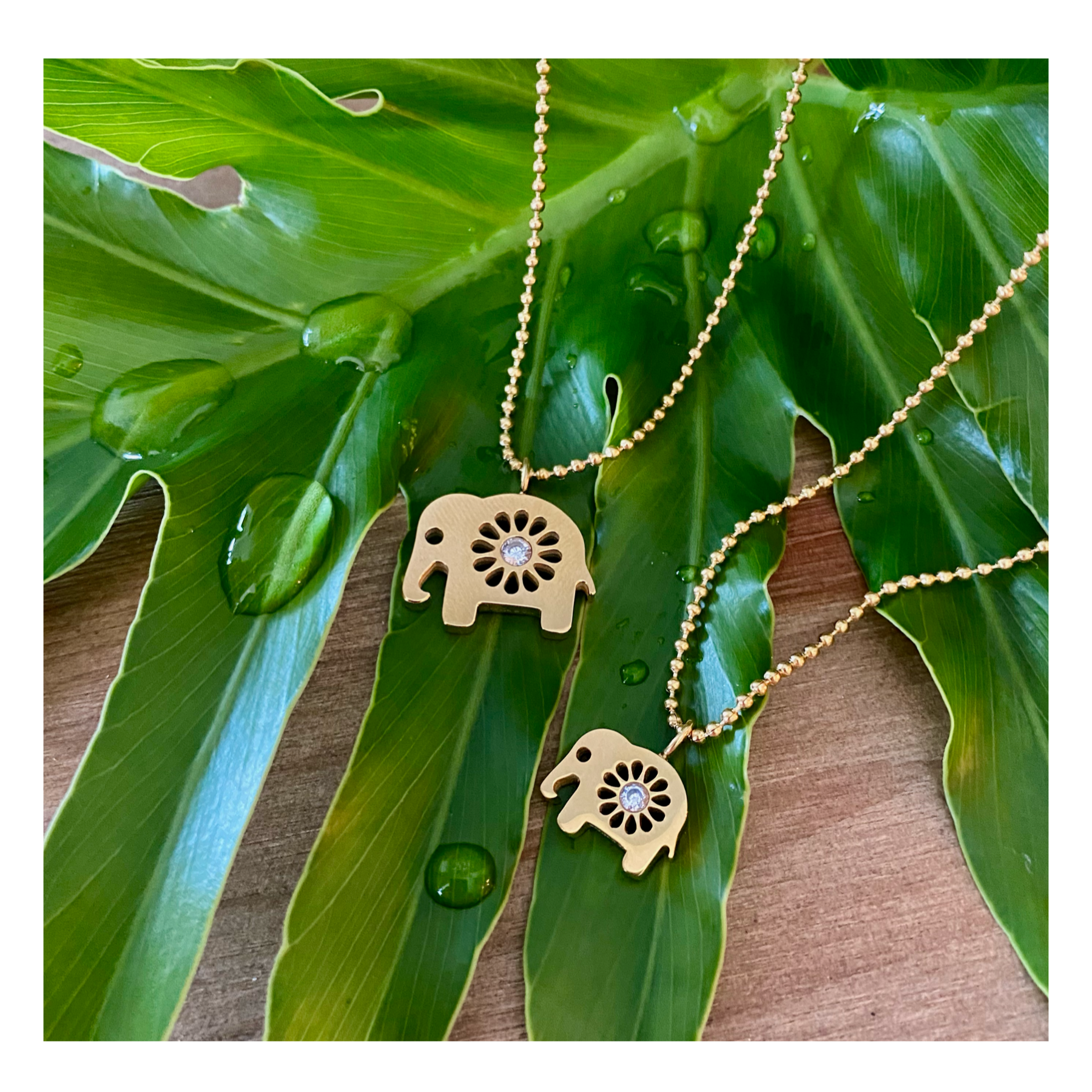 Cadena Elefante / Signature - Karola & Co. 