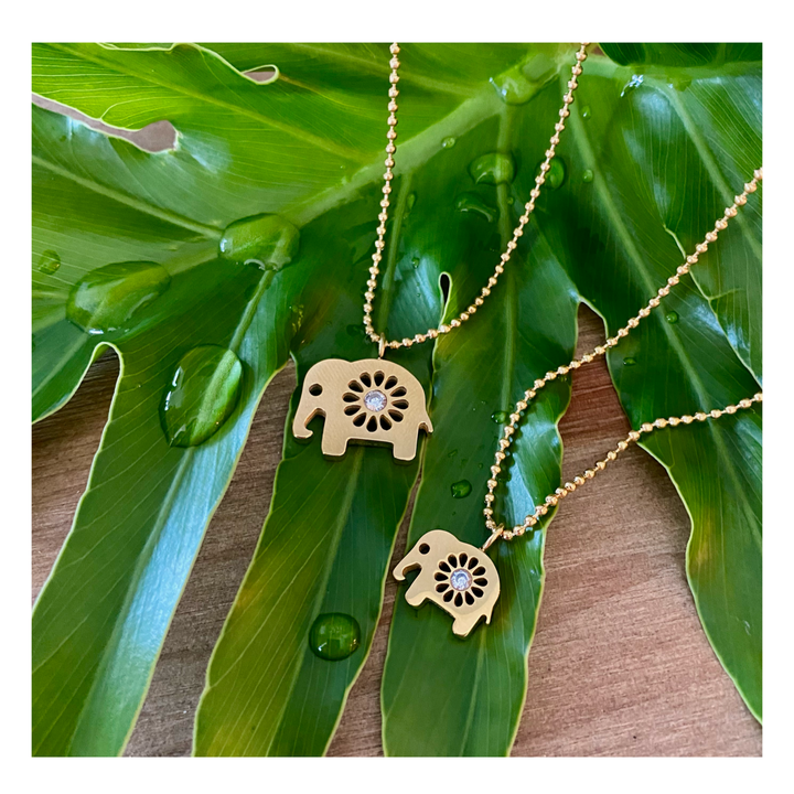 Cadena Elefante / Signature - Karola & Co. 